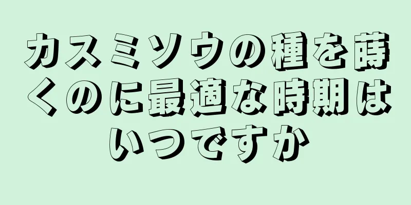 カスミソウの種を蒔くのに最適な時期はいつですか