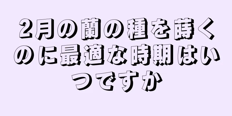 2月の蘭の種を蒔くのに最適な時期はいつですか