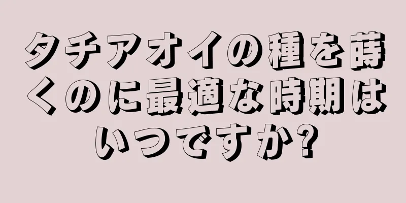 タチアオイの種を蒔くのに最適な時期はいつですか?
