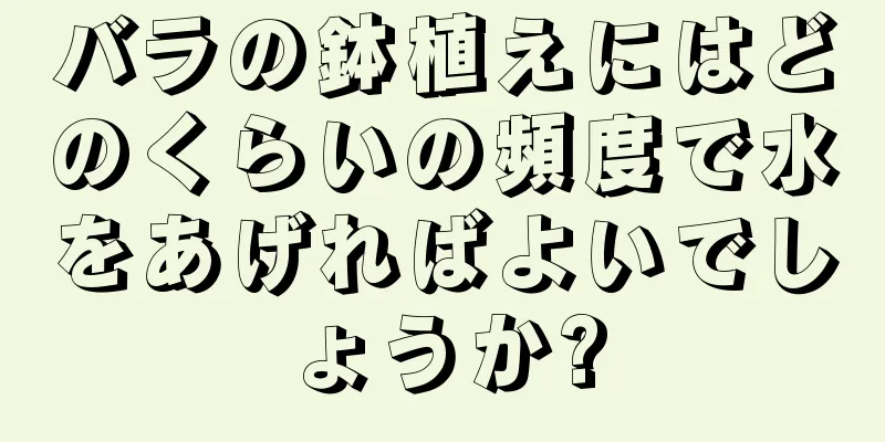 バラの鉢植えにはどのくらいの頻度で水をあげればよいでしょうか?