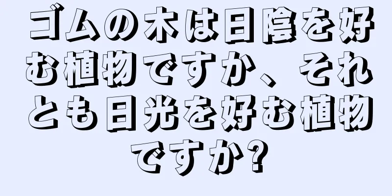 ゴムの木は日陰を好む植物ですか、それとも日光を好む植物ですか?
