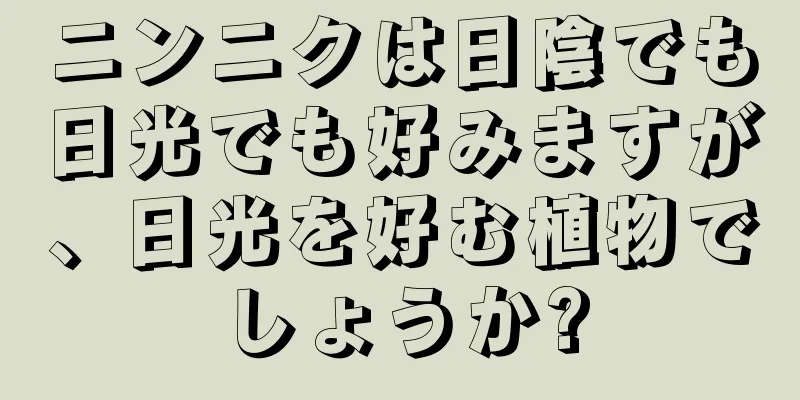 ニンニクは日陰でも日光でも好みますが、日光を好む植物でしょうか?