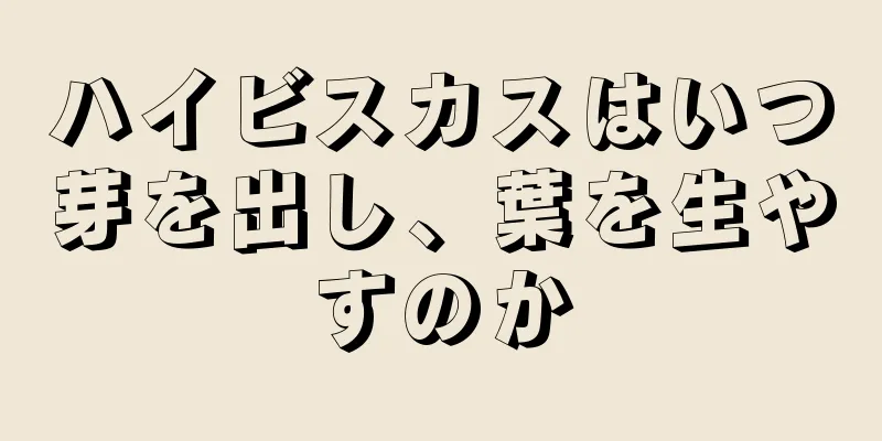 ハイビスカスはいつ芽を出し、葉を生やすのか