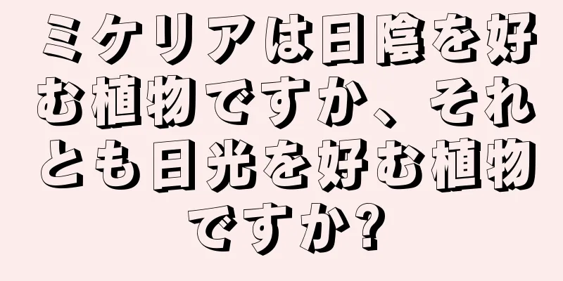 ミケリアは日陰を好む植物ですか、それとも日光を好む植物ですか?