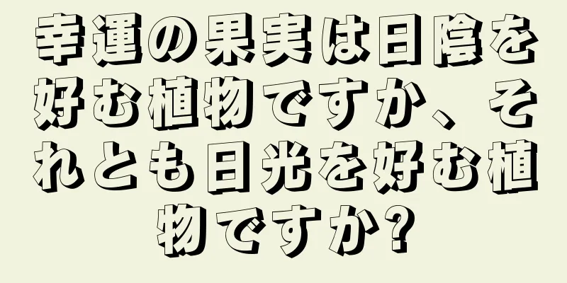 幸運の果実は日陰を好む植物ですか、それとも日光を好む植物ですか?