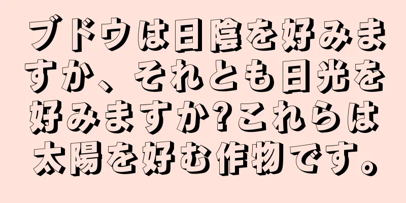 ブドウは日陰を好みますか、それとも日光を好みますか?これらは太陽を好む作物です。