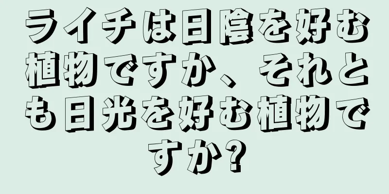 ライチは日陰を好む植物ですか、それとも日光を好む植物ですか?