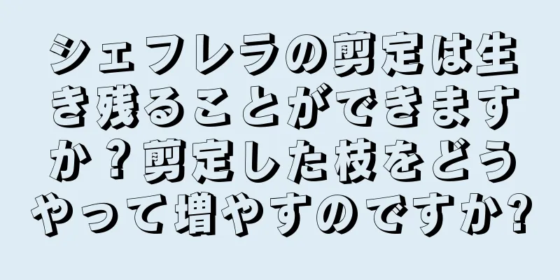 シェフレラの剪定は生き残ることができますか？剪定した枝をどうやって増やすのですか?