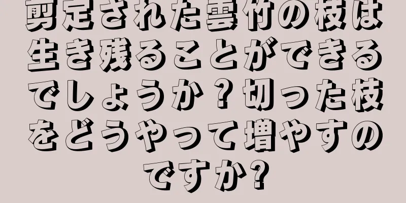 剪定された雲竹の枝は生き残ることができるでしょうか？切った枝をどうやって増やすのですか?