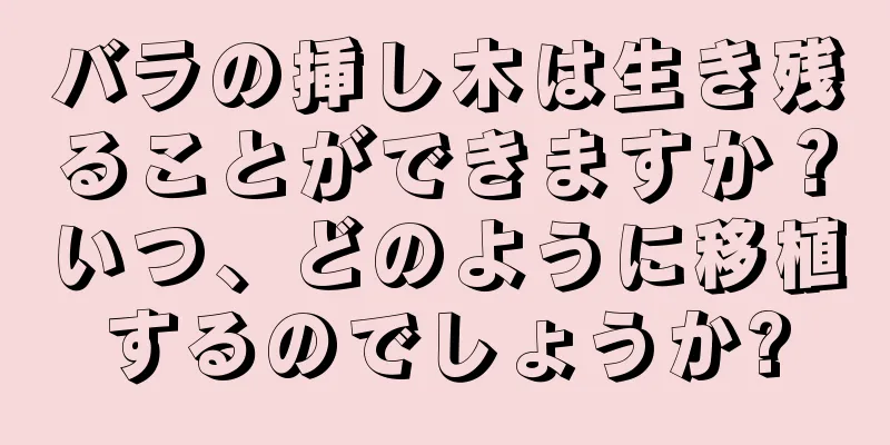 バラの挿し木は生き残ることができますか？いつ、どのように移植するのでしょうか?