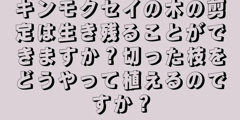 キンモクセイの木の剪定は生き残ることができますか？切った枝をどうやって植えるのですか？
