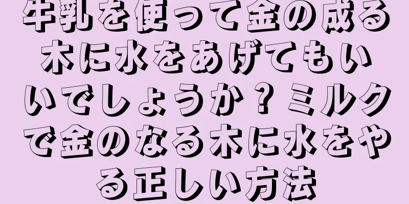 牛乳を使って金の成る木に水をあげてもいいでしょうか？ミルクで金のなる木に水をやる正しい方法