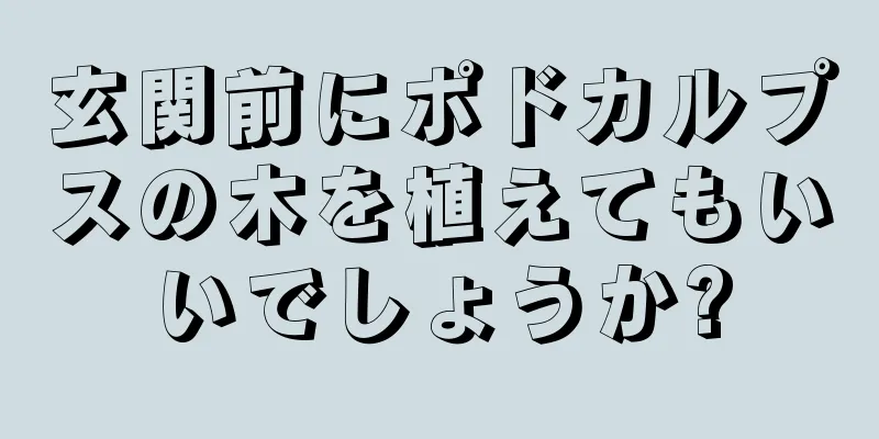 玄関前にポドカルプスの木を植えてもいいでしょうか?