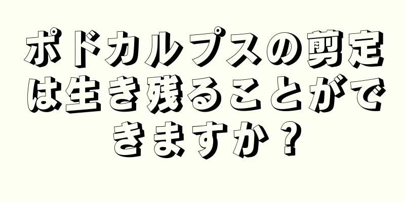ポドカルプスの剪定は生き残ることができますか？