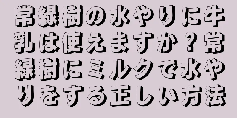 常緑樹の水やりに牛乳は使えますか？常緑樹にミルクで水やりをする正しい方法