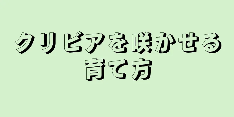 クリビアを咲かせる育て方