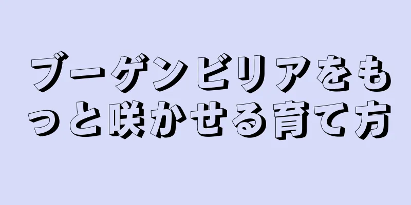 ブーゲンビリアをもっと咲かせる育て方