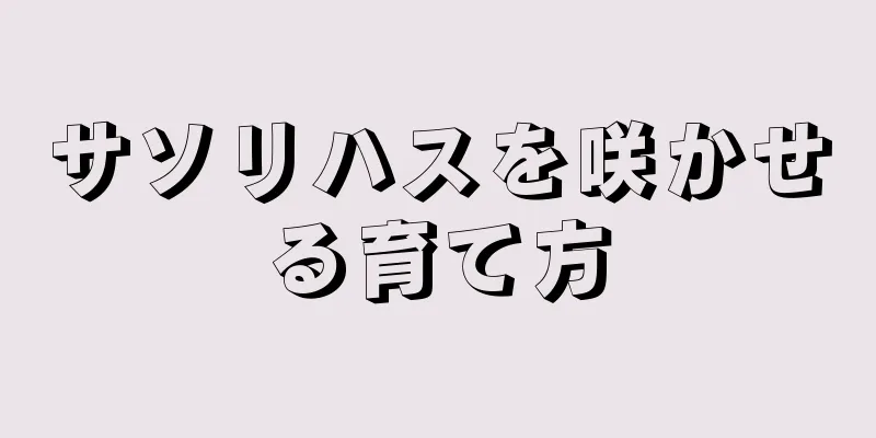 サソリハスを咲かせる育て方