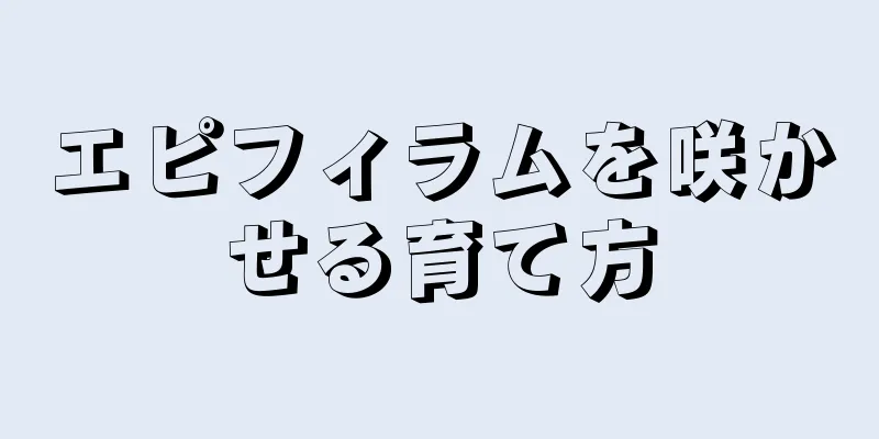 エピフィラムを咲かせる育て方