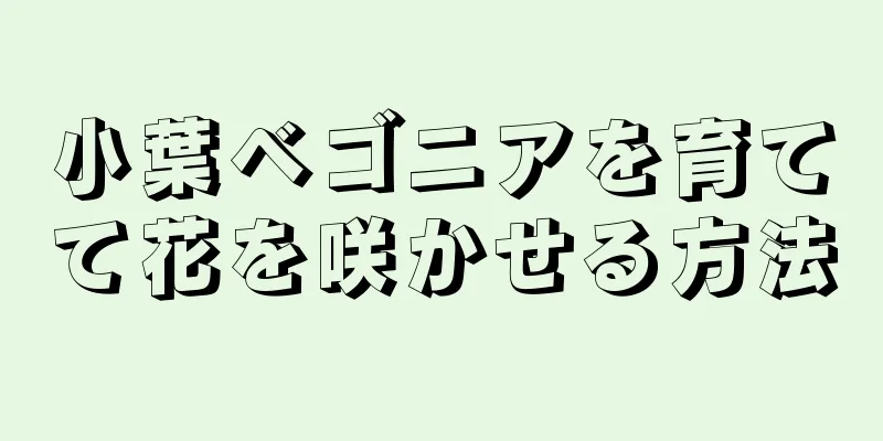 小葉ベゴニアを育てて花を咲かせる方法