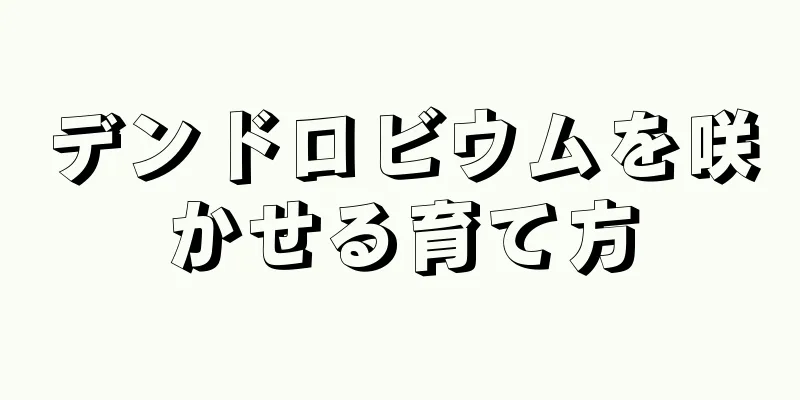 デンドロビウムを咲かせる育て方
