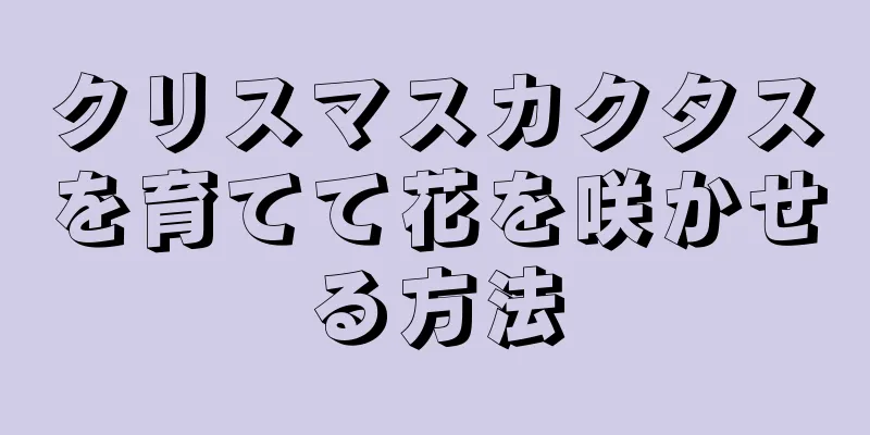 クリスマスカクタスを育てて花を咲かせる方法