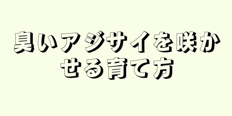 臭いアジサイを咲かせる育て方