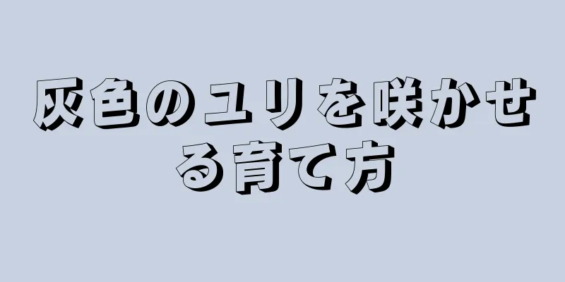 灰色のユリを咲かせる育て方