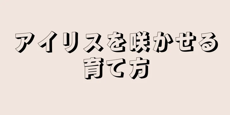 アイリスを咲かせる育て方