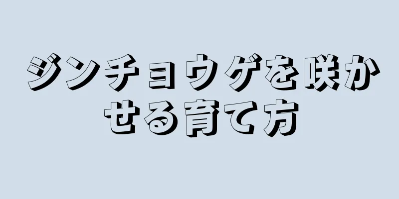 ジンチョウゲを咲かせる育て方