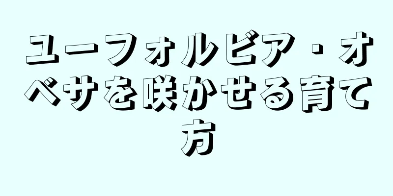 ユーフォルビア・オベサを咲かせる育て方