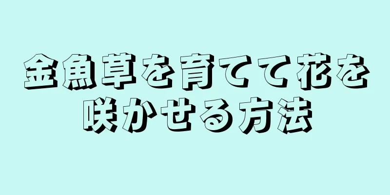 金魚草を育てて花を咲かせる方法