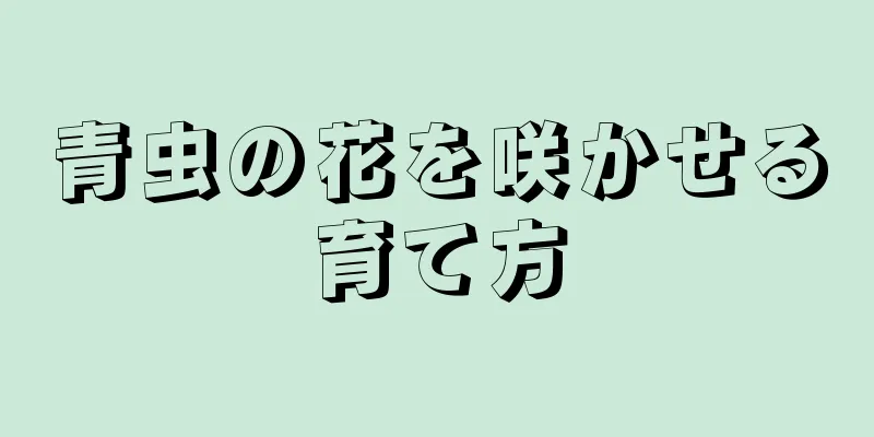 青虫の花を咲かせる育て方