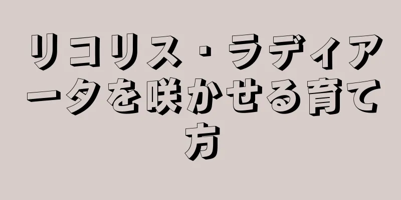 リコリス・ラディアータを咲かせる育て方