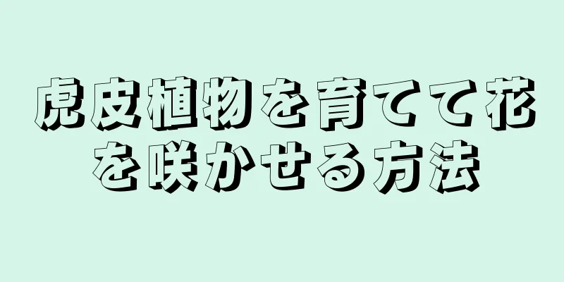 虎皮植物を育てて花を咲かせる方法