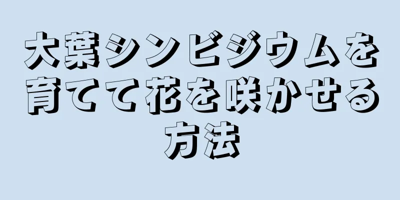 大葉シンビジウムを育てて花を咲かせる方法