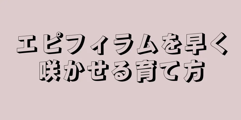 エピフィラムを早く咲かせる育て方