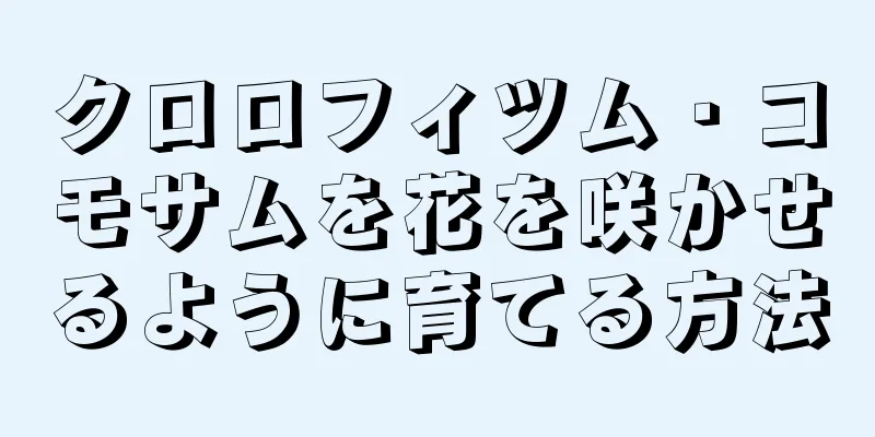 クロロフィツム・コモサムを花を咲かせるように育てる方法