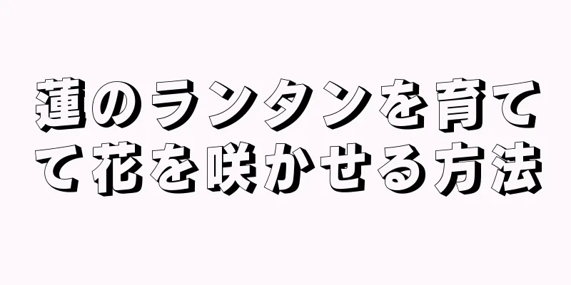 蓮のランタンを育てて花を咲かせる方法