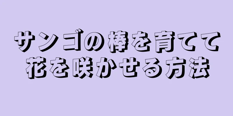 サンゴの棒を育てて花を咲かせる方法