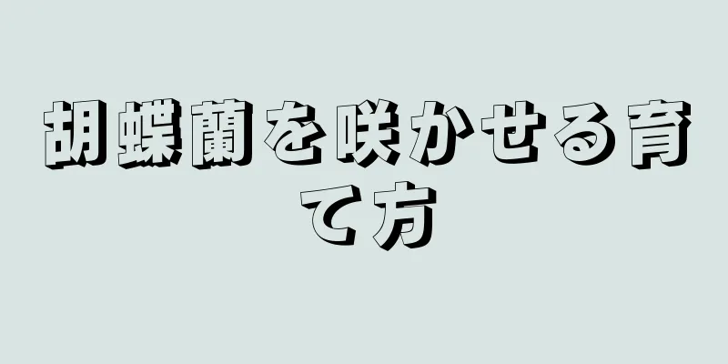 胡蝶蘭を咲かせる育て方