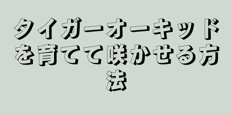 タイガーオーキッドを育てて咲かせる方法