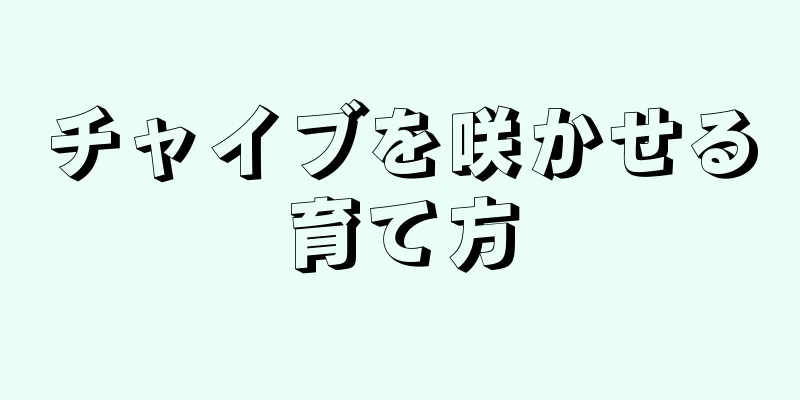 チャイブを咲かせる育て方