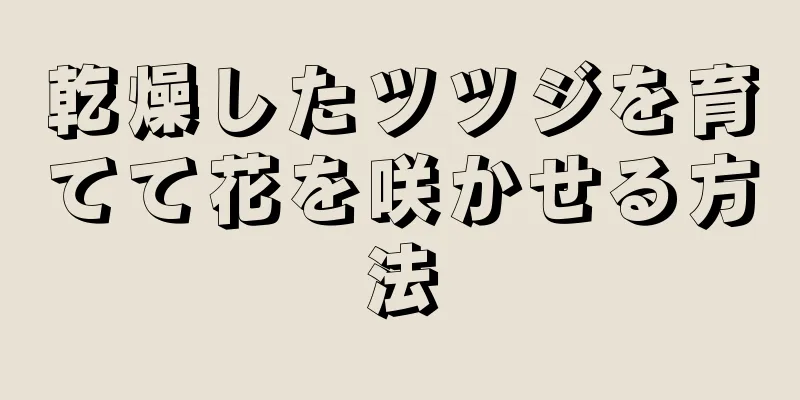 乾燥したツツジを育てて花を咲かせる方法