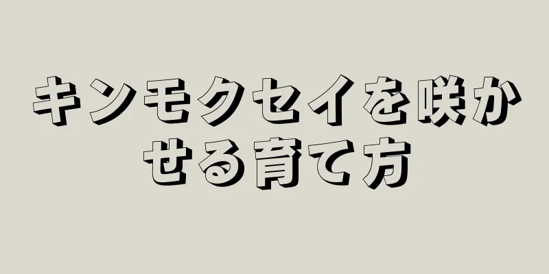 キンモクセイを咲かせる育て方