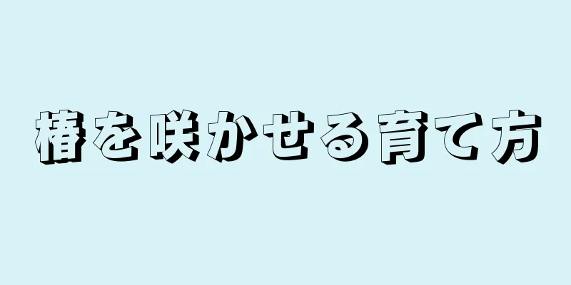 椿を咲かせる育て方