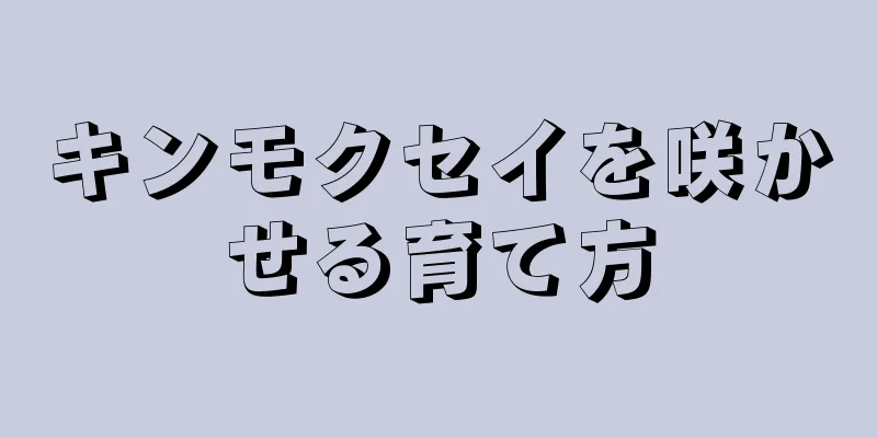 キンモクセイを咲かせる育て方