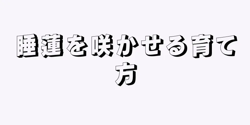 睡蓮を咲かせる育て方