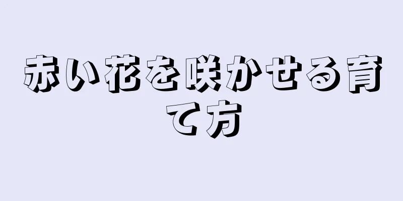 赤い花を咲かせる育て方