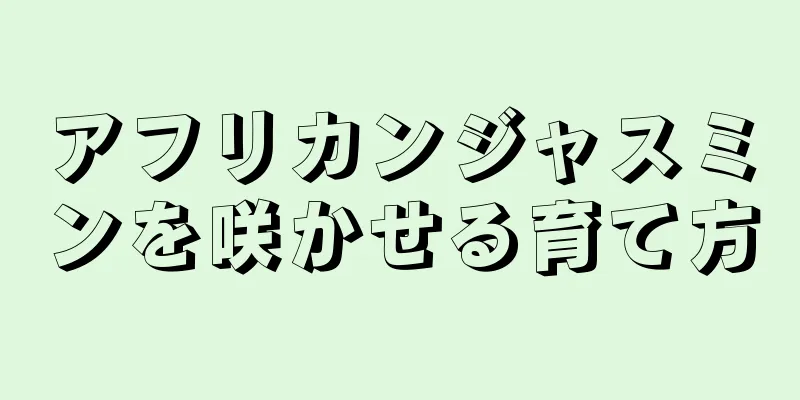 アフリカンジャスミンを咲かせる育て方